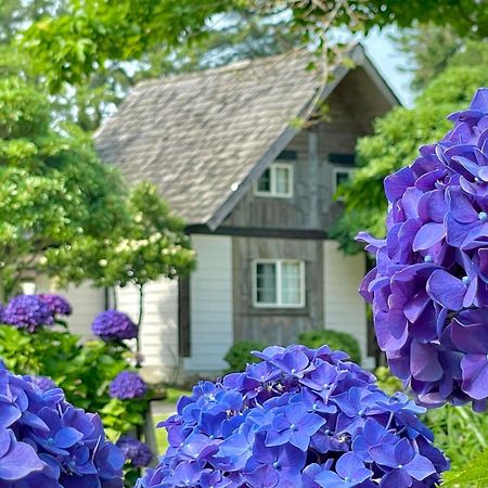 Вилла Log Park Dochidol Ranch Чеджудо Экстерьер фото