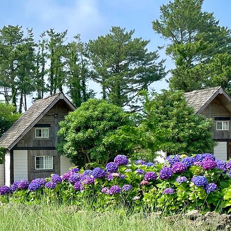 Вилла Log Park Dochidol Ranch Чеджудо Экстерьер фото
