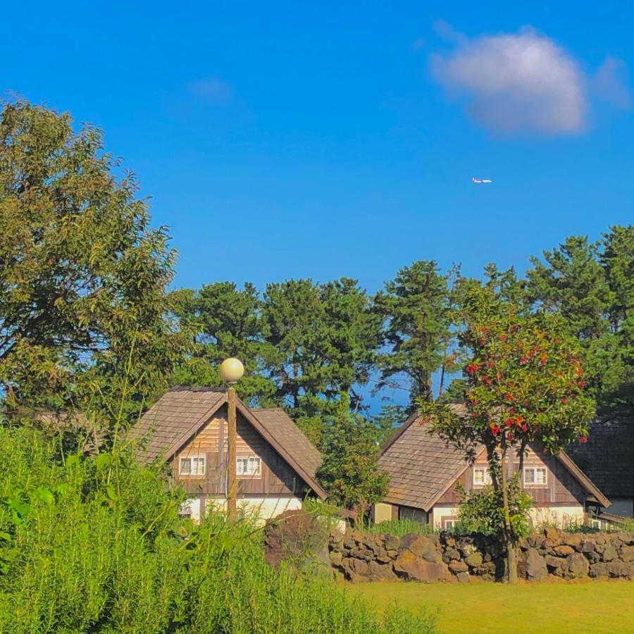 Вилла Log Park Dochidol Ranch Чеджудо Экстерьер фото