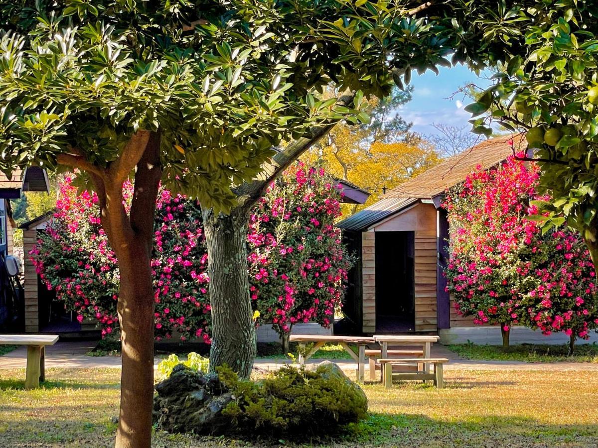 Вилла Log Park Dochidol Ranch Чеджудо Экстерьер фото
