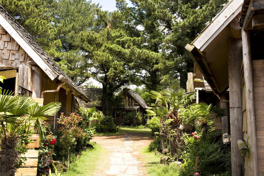 Вилла Log Park Dochidol Ranch Чеджудо Номер фото