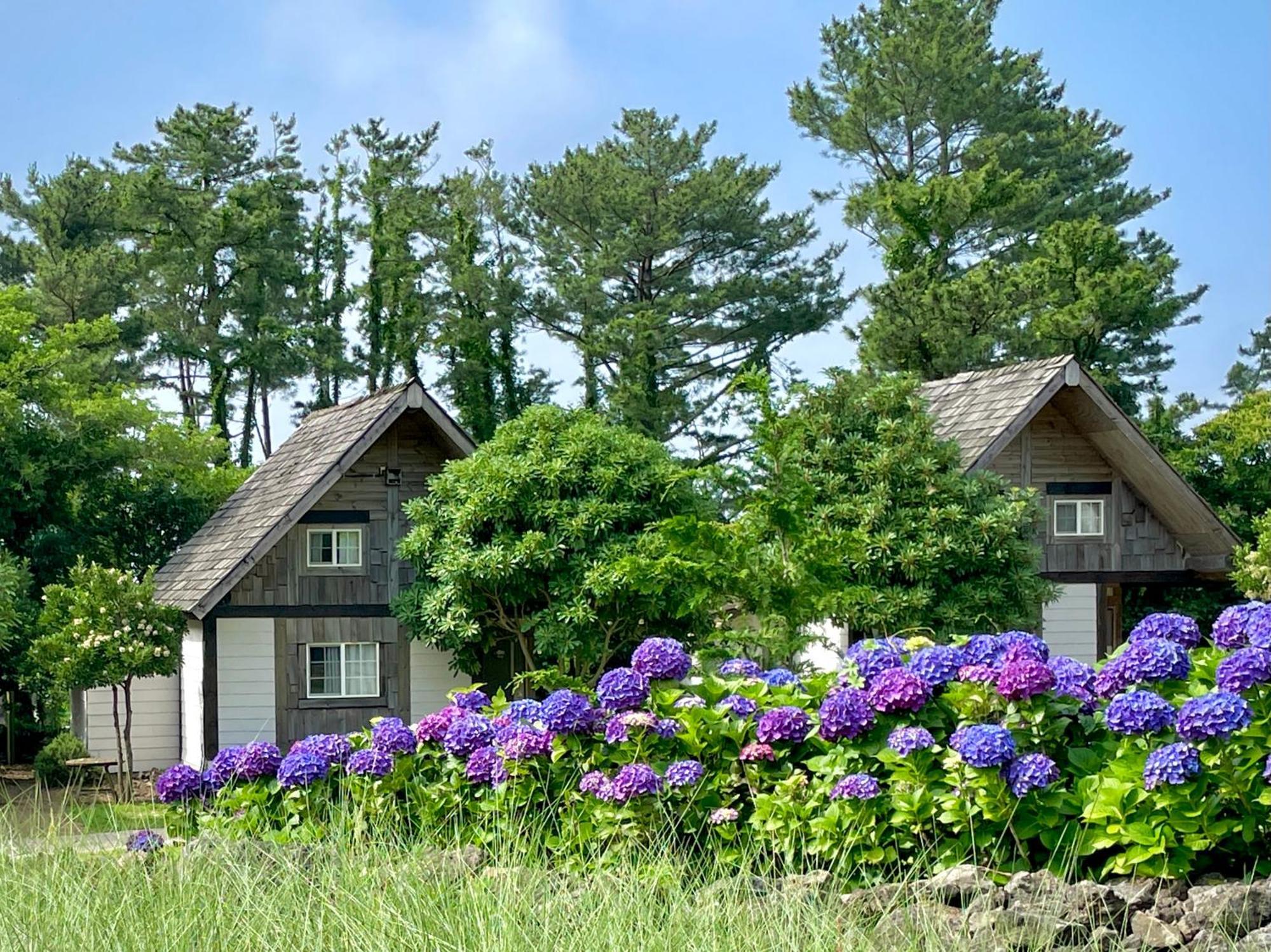 Вилла Log Park Dochidol Ranch Чеджудо Экстерьер фото